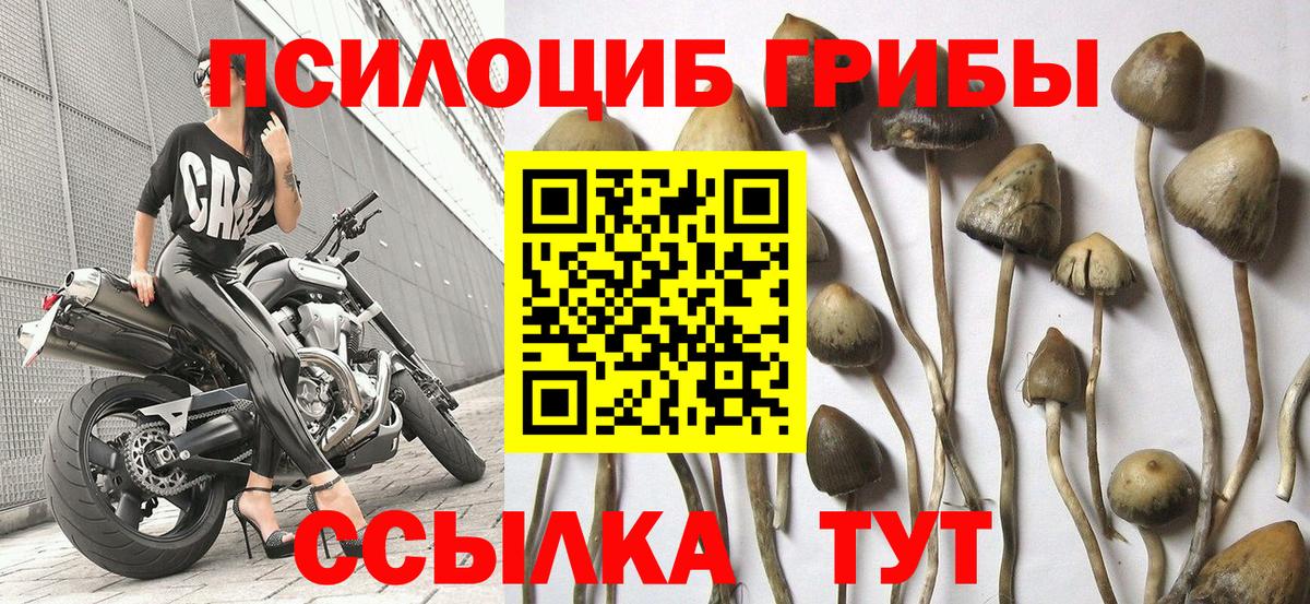 Галлюциногенные грибы Magic Shrooms Валуйки