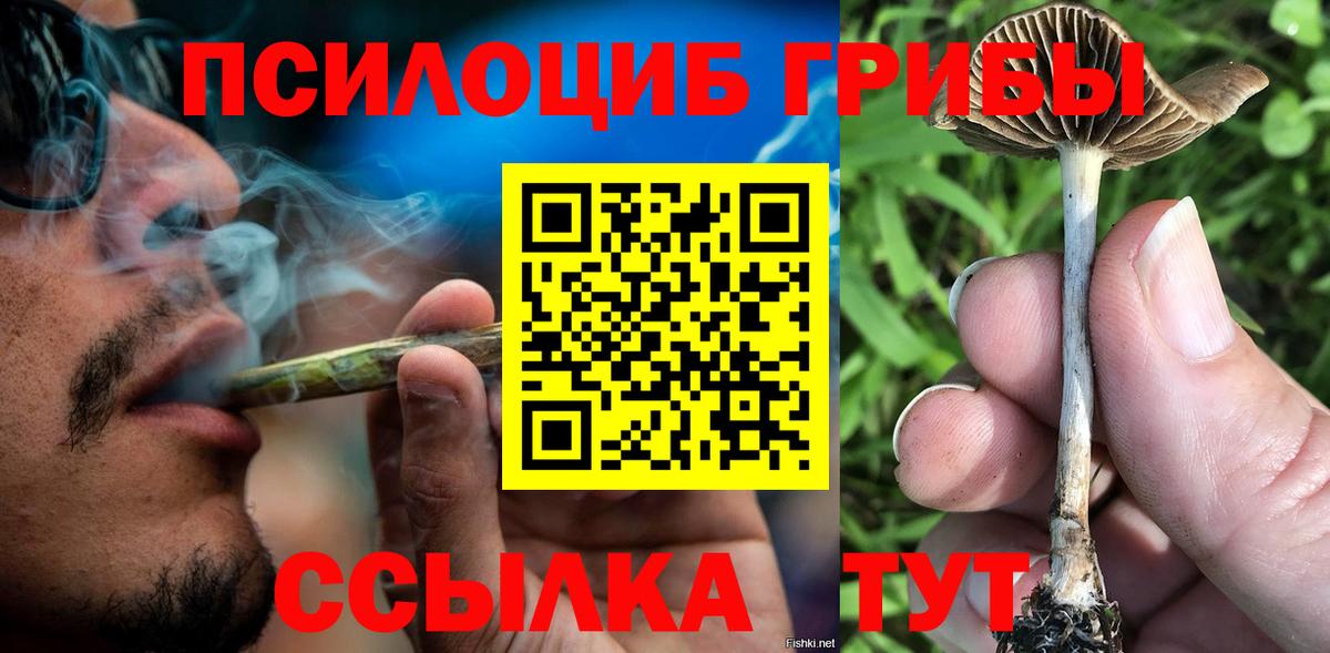 Валуйки  Галлюциногенные грибы Psilocybine cubensis  Псилоцибиновые грибы GOLDEN TEACHER  Вход с VPN 